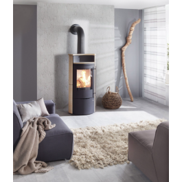 Olsberg Caldera II Compact | 123rookkanaal