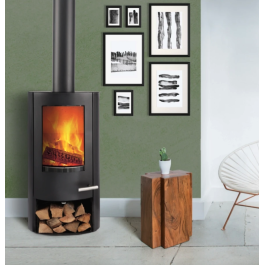TermaTech TT20 Bazic R met houtdepot | 123rookkanaal